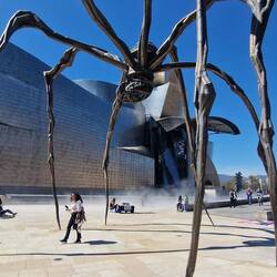 Die Sprühnebelanlagen gegen Hitze laufen schon.