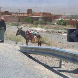 Überall einsatzbereit