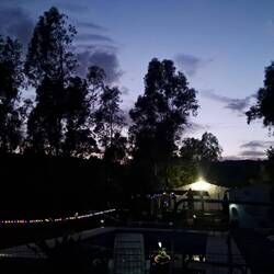 19 °C