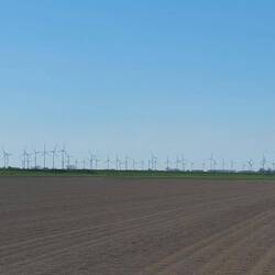 Eine beeindruckende Parade von Windrädern.