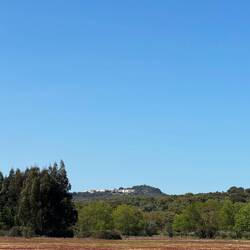Alter Pedroso