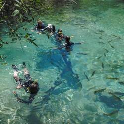 Rio da Prata snorkelling tour