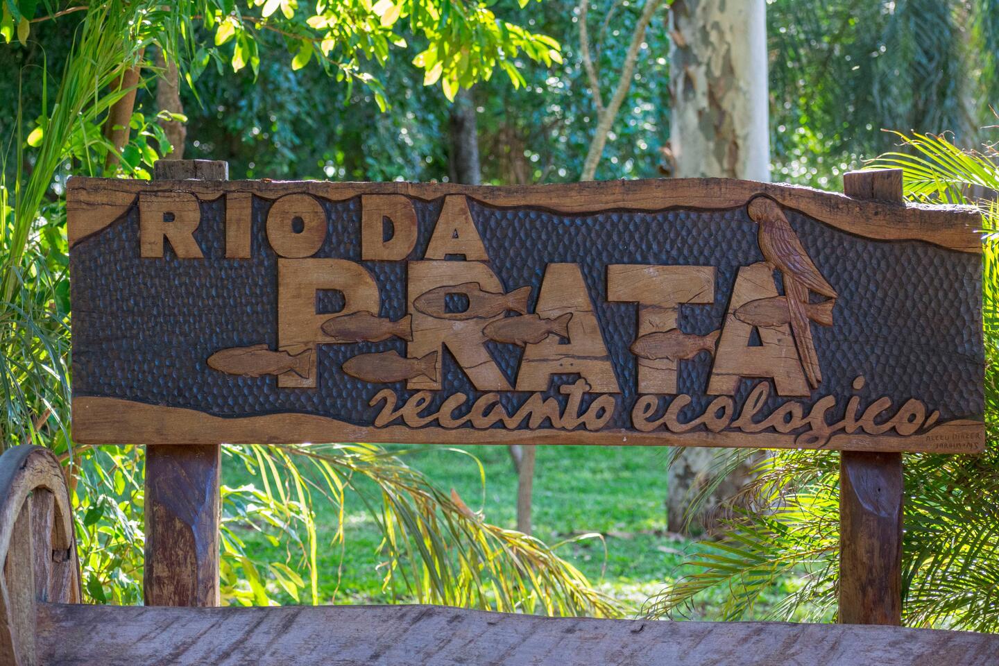 Rio da Prata snorkelling tour