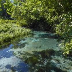 Rio da Prata snorkelling tour