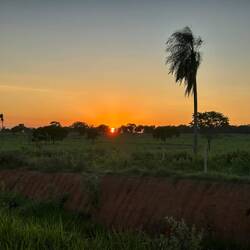 Sunrise on our way to Campogrande airport