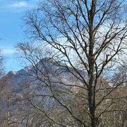 Views of mountains from our terrace