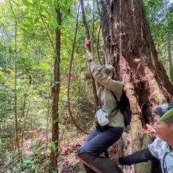 Denise playing Jane in the jungle