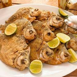 Piranhas for dinner