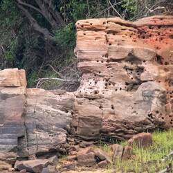 Holes made by catfish when the river is high.