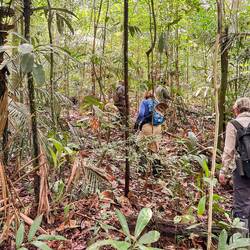 Each day we did jungle walks