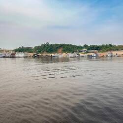 Shoreline at Manaus