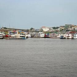 Shoreline at Manaus
