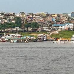 Shoreline at Manaus