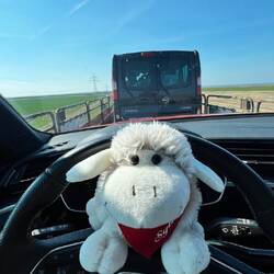 Auf dem Autozug