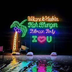 Haad Rin Beach where the full moon party takes place.