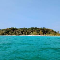 Bamboo Island