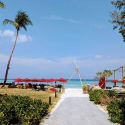 Idyllic Concept Resort