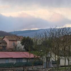 A misty, foggy, cold start to our day.