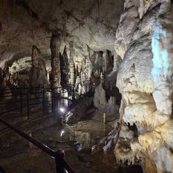 Kalksteinhöhle Postojna
