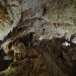 Gänsehaut Feeling es war krass