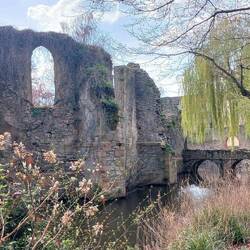 Schöntal, Park mit ...