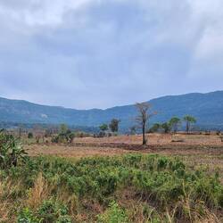 Die Landschaft