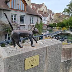 Le Chat de Marcel- artiste Bertille Laguet