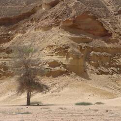 ...zeigt der Sandstein zum Teil bizarre Formationen