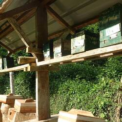 Entsprechend sind auch ihre Kästen winzig