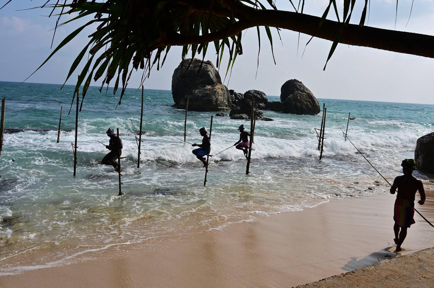 Stilt fishermen, making money