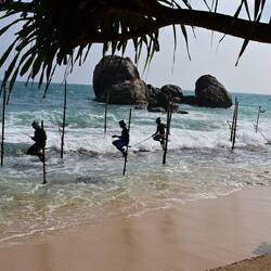 Stilt fishermen, making money
