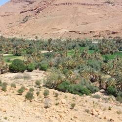 Grünes Becken am Fluss