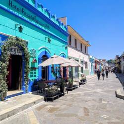 Andador de Guadalupe