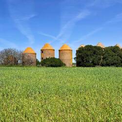 Die alten Silos von Trigueros