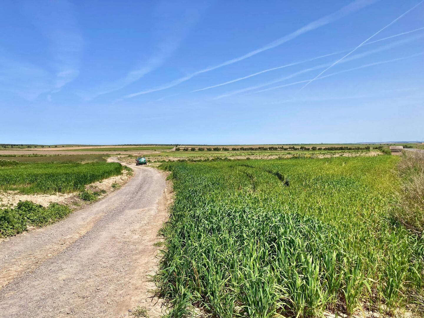 Die Römerstrasse war sicher einmal in besserem Zustand