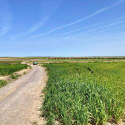 Die Römerstrasse war sicher einmal in besserem Zustand