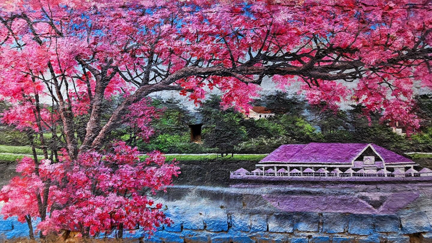 Đà Lạt ist voll mit Blumen und schönen Graffitis.