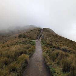 Der Weg läuft sich gut