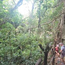 The walk down was pretty; Mark's helping Dawn here through a bit of a tough spot.
