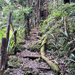 The remaining path up/out.