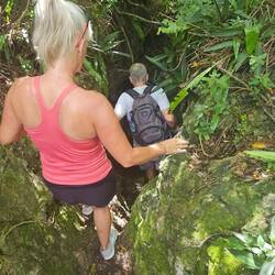 Entering the initial part of the sinkhole; it's a bit of a jungle.