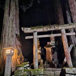 Avec ses lanternes et ses cyprès centenaires