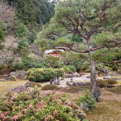 Jardin zen de notre Shukubo à Sainan-in