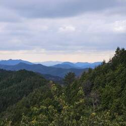 Les collines entourant Koyasan