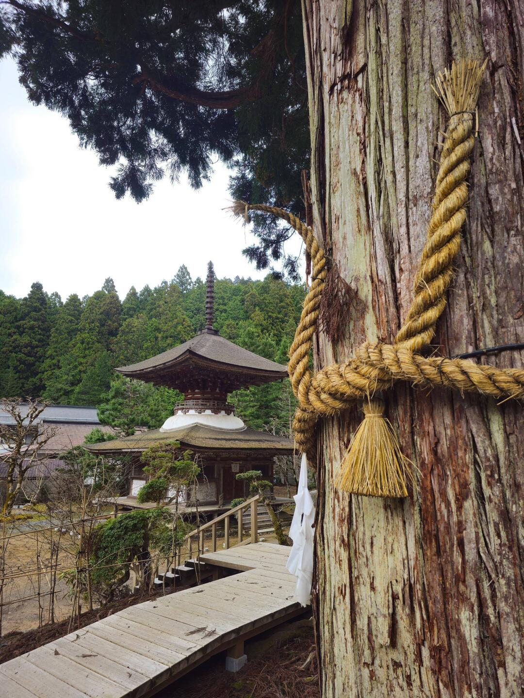 Pagode Kongo-sanmai in datant de 1223 et jamais reconstruite