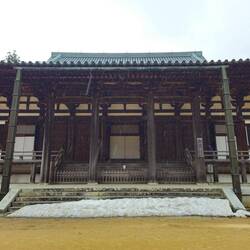 Il neige à Danjo-garan