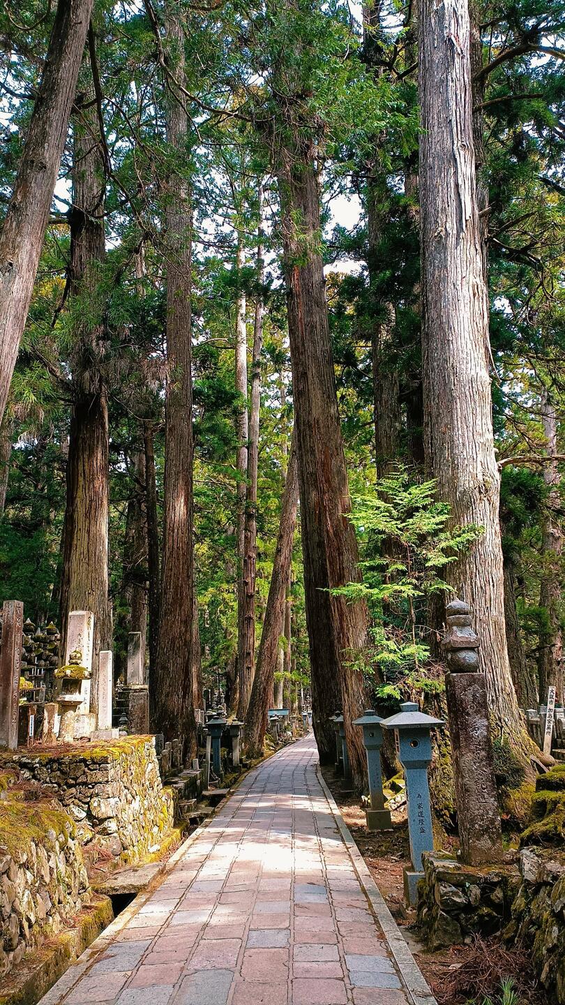 Cimetière Okunoin à Kōya avec près de 200 000 tombes !