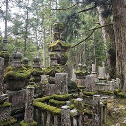 Tombes de toutes les époques depuis le 9eme siecle