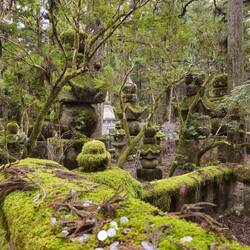 De la mousse partout!