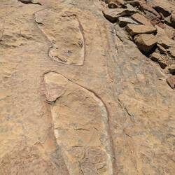 Footsteps of the sun